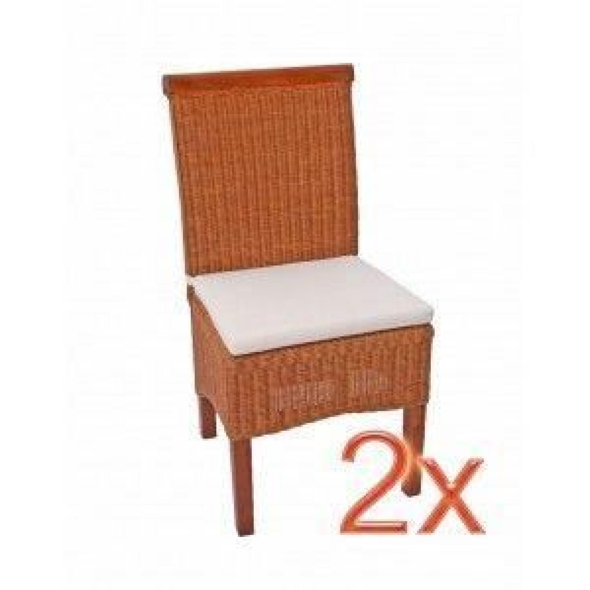 2 chaises de séjour rotin/bois 46x50x96cm avec coussins