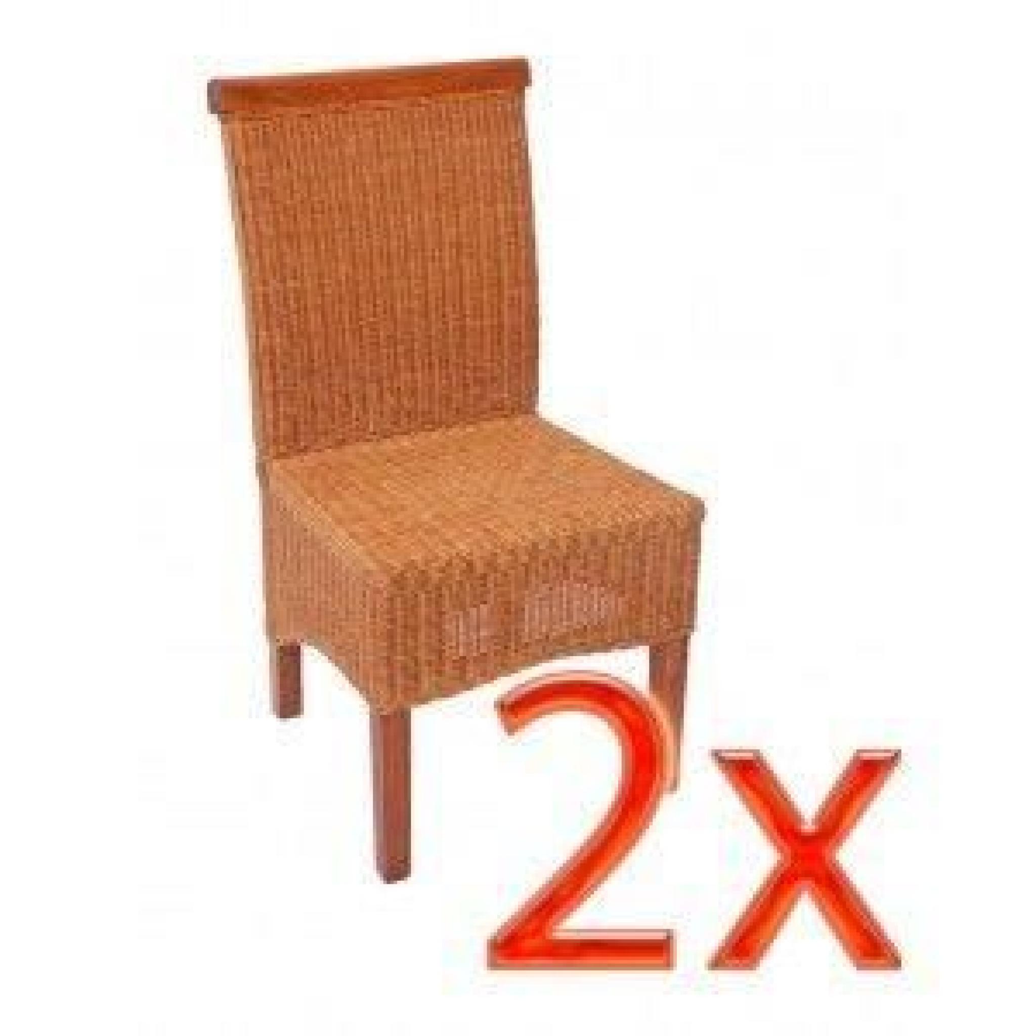 2x Chaise pour salle à manger rotin/bois 46x50x96cm
