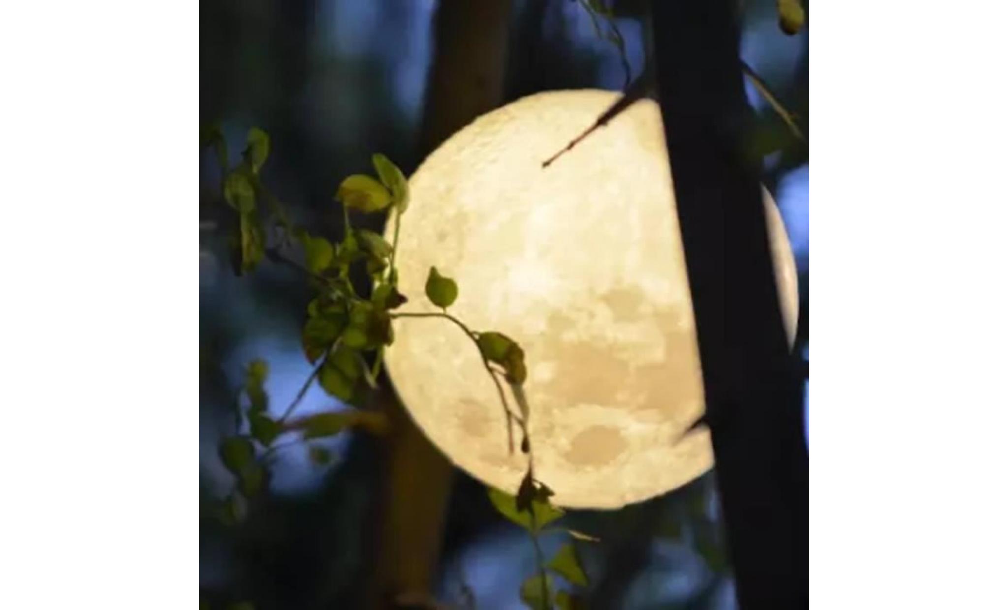 3d usb led magical moon night light moonlight table desk moon lamp gift c paontry1010 pas cher