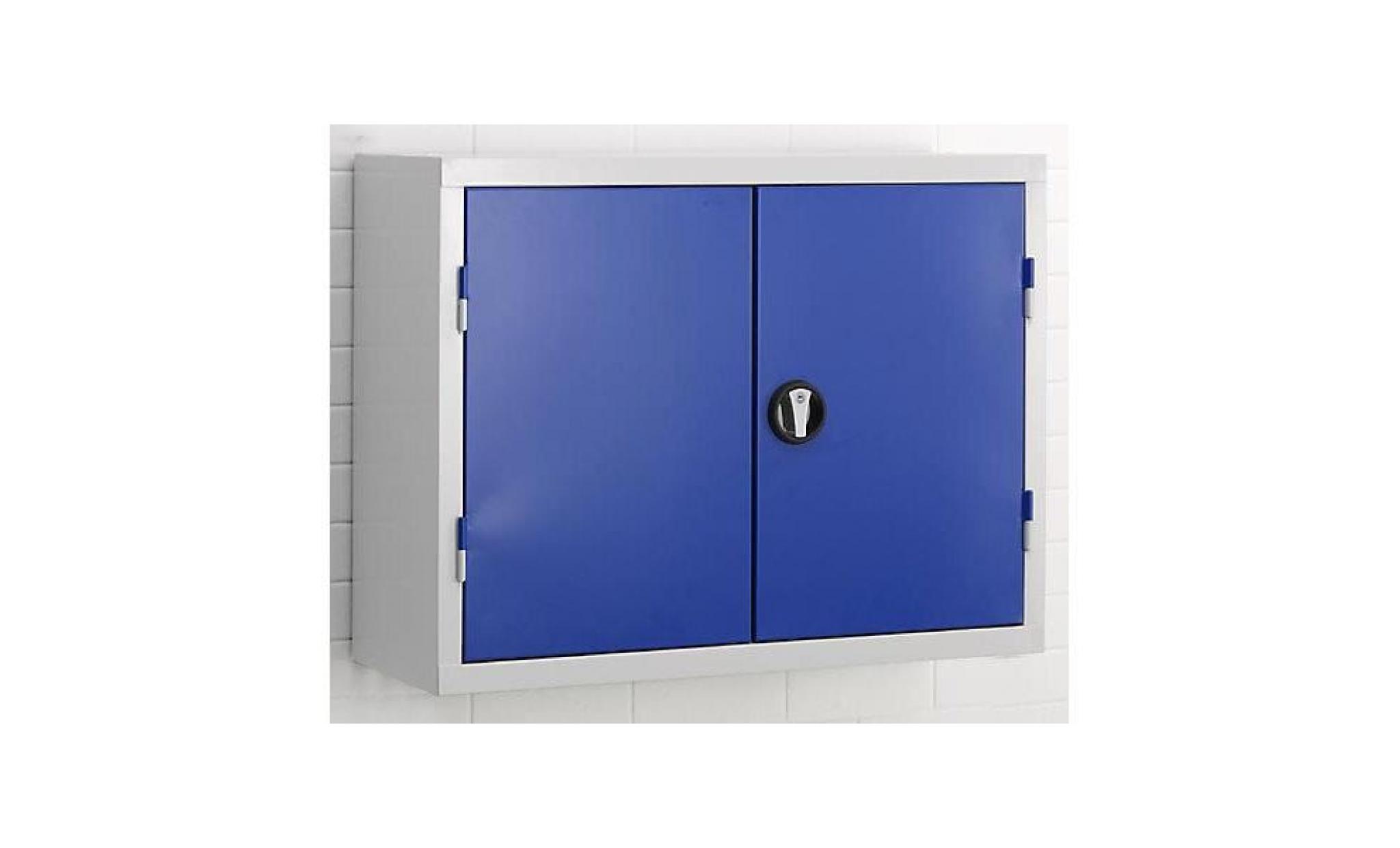 armoire à outils murale   plaques perforées à l'intérieur des portes   bleu gentiane ral 5010   armoire murale armoire métallique