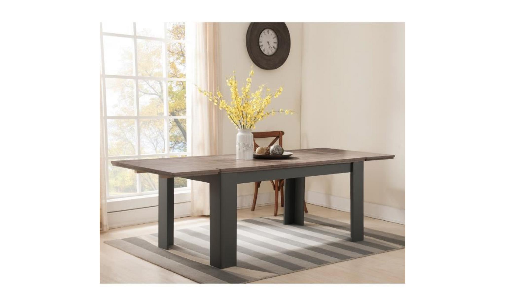 dessy table à manger extensible de 6 à 10 personnes style contemporain gris mat et décor bois   l 160   239 x l 90 cm pas cher