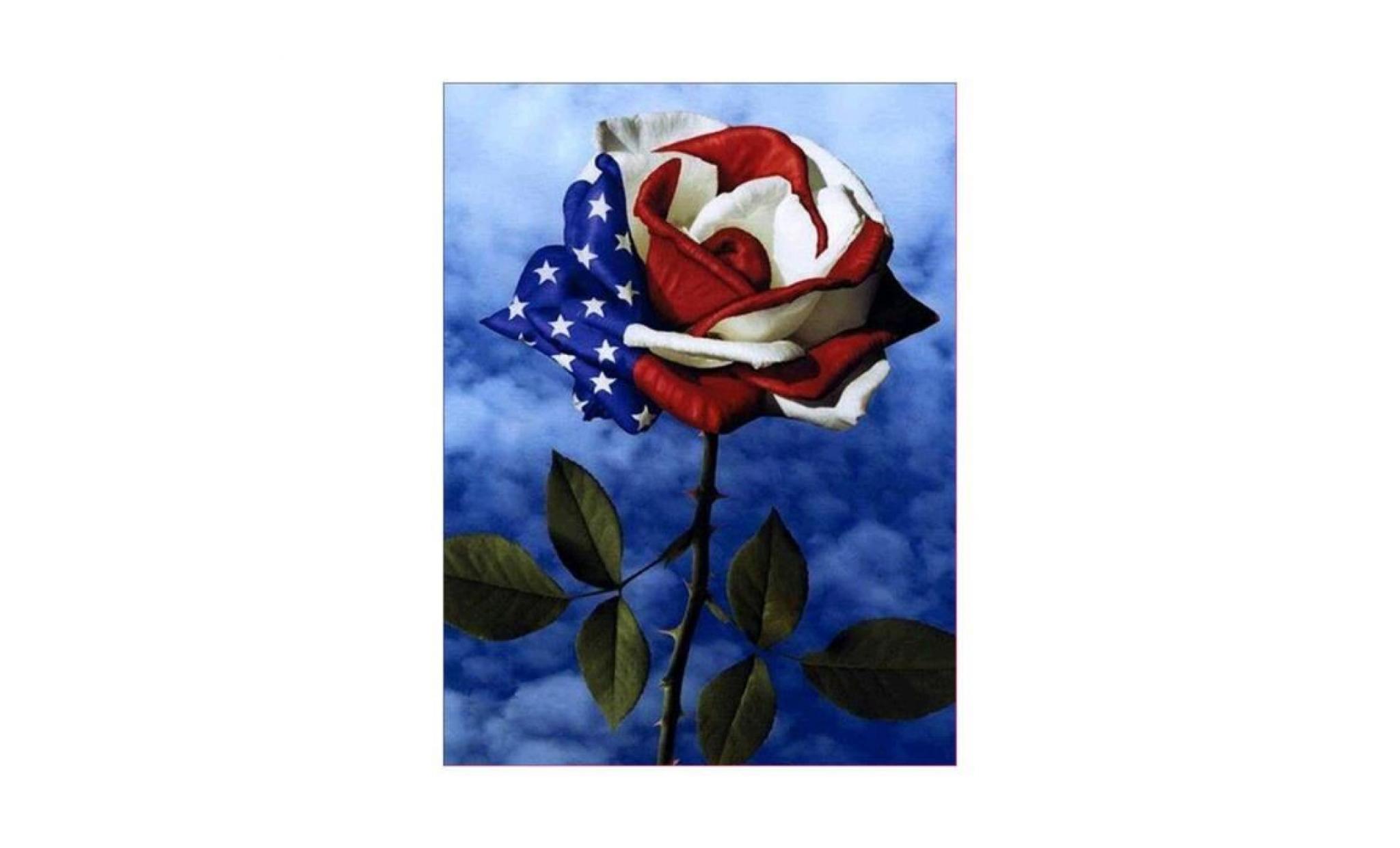 drapeau américain design rose 5d art diamant peinture point de croix artisanat décor cadeau q1203