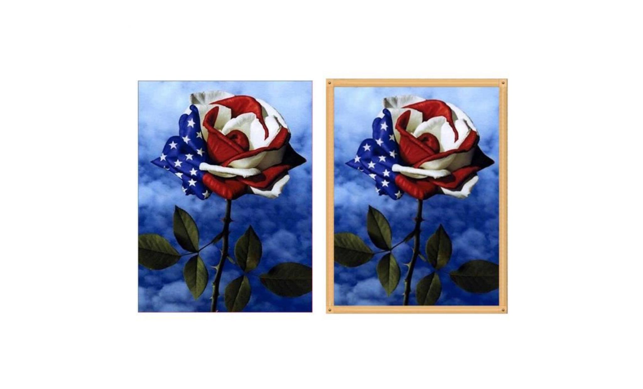 drapeau américain design rose 5d art diamant peinture point de croix artisanat décor cadeau q1203 pas cher