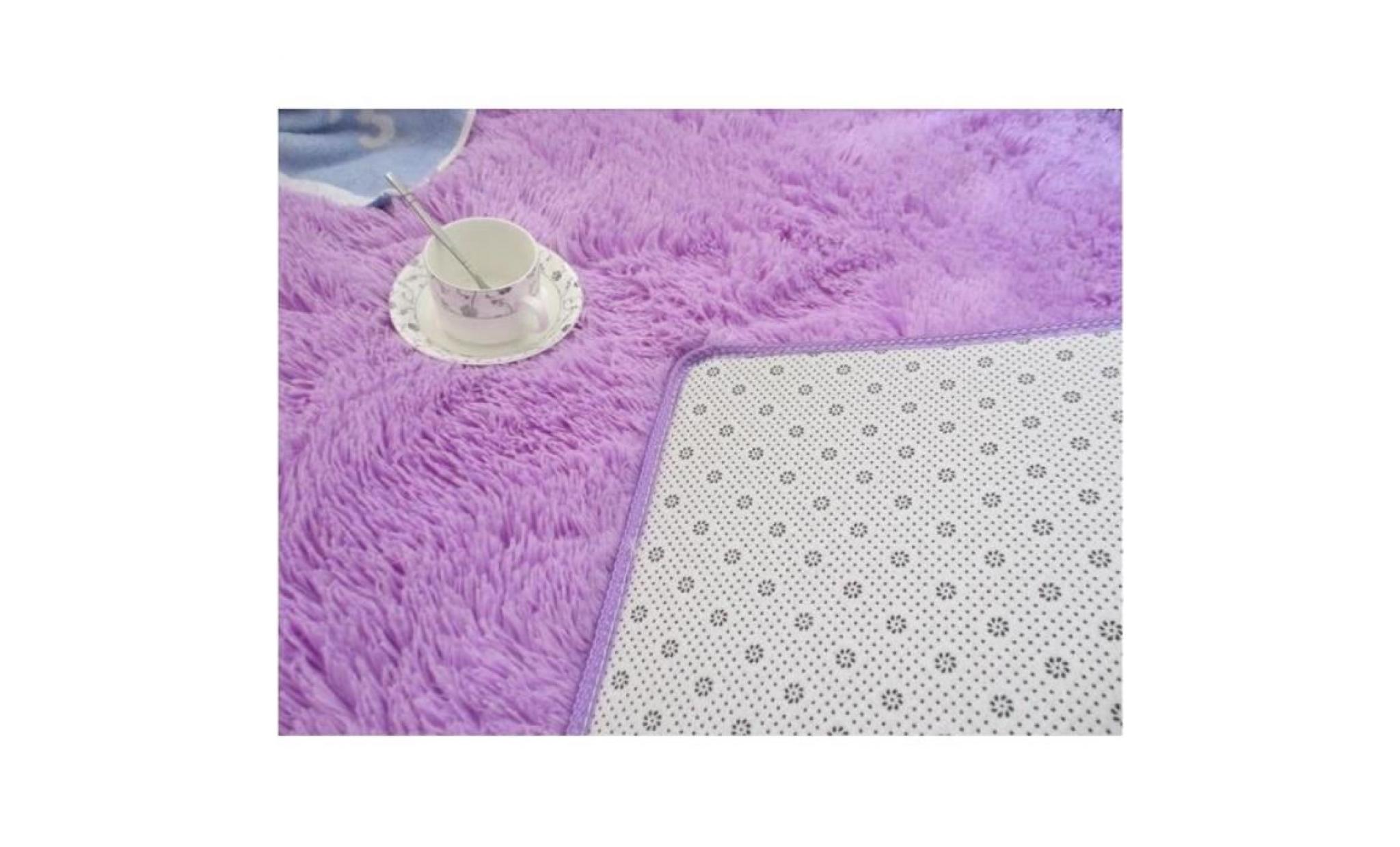 ffjts brand new fashion carpet salon intérieur chambre à coucher cosmétique anti bactérienne anti skid style simple , purple , pas cher