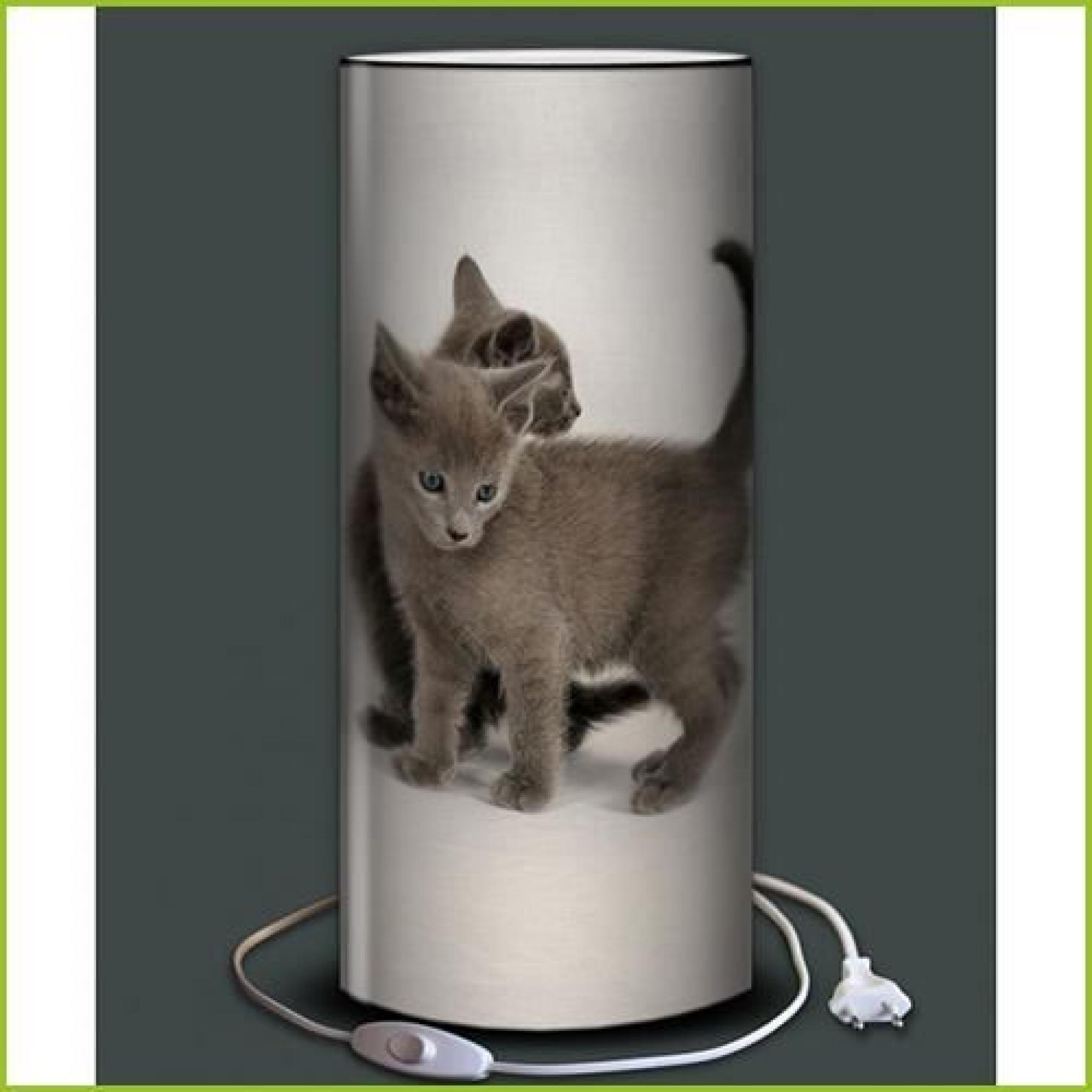 Lampe chatons gris