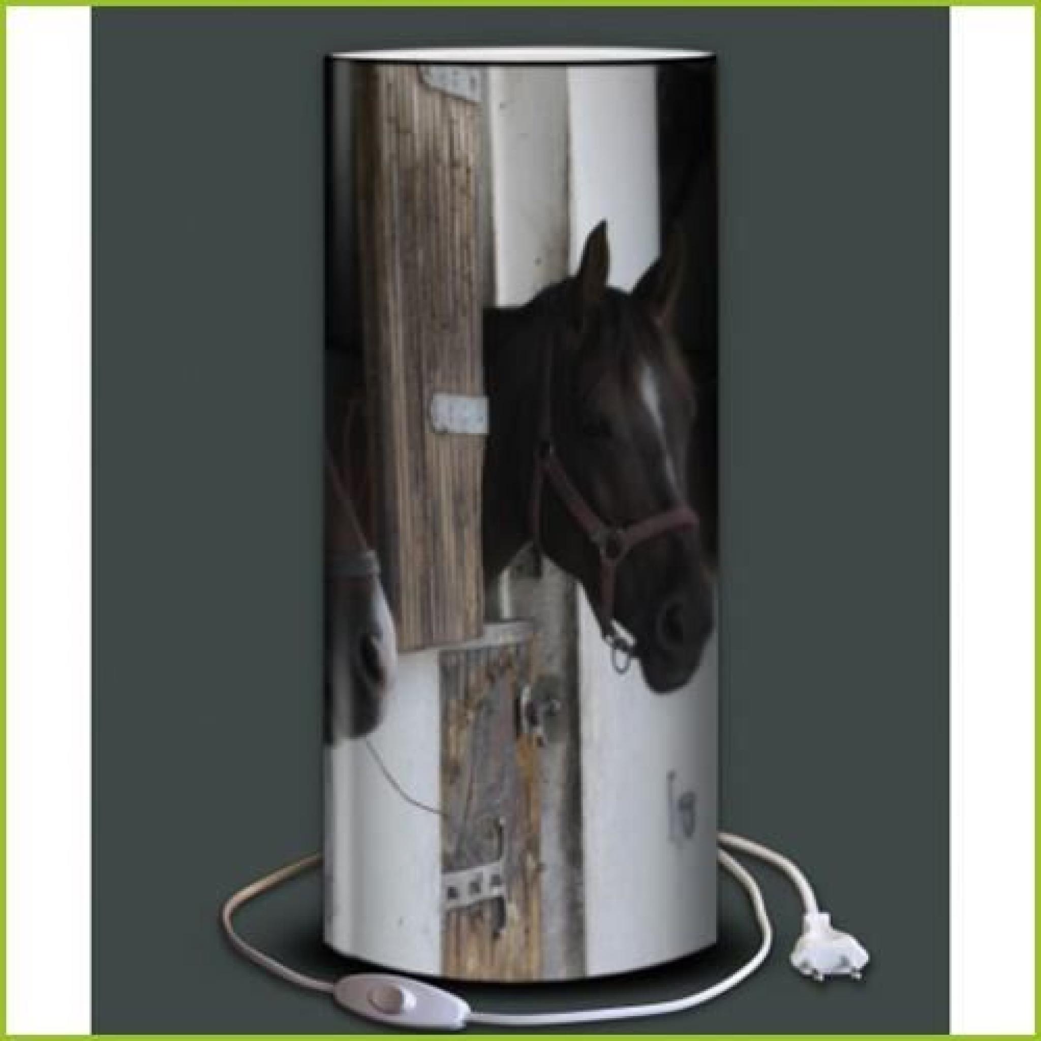 Lampe chevaux box
