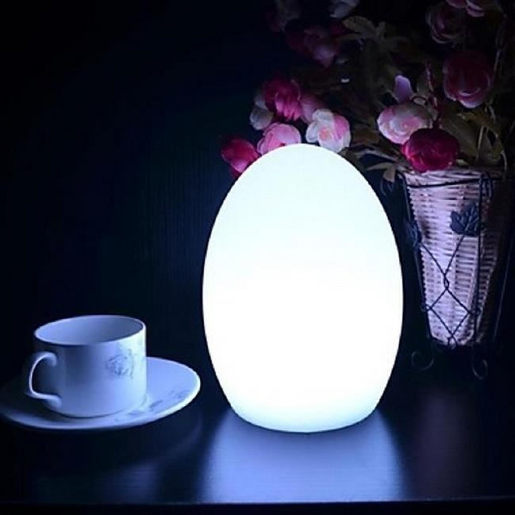 Lampe de table LED ovale TU pas cher