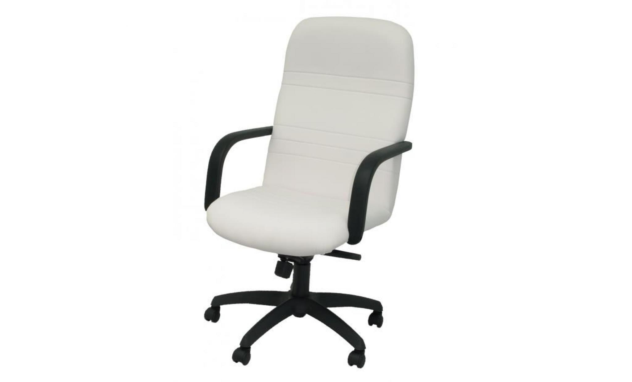 modèle 100dbspbl fauteuil de direction ergonomique avec mécanisme d'inclinaison et réglable en hauteur assise et dossier rembourrés