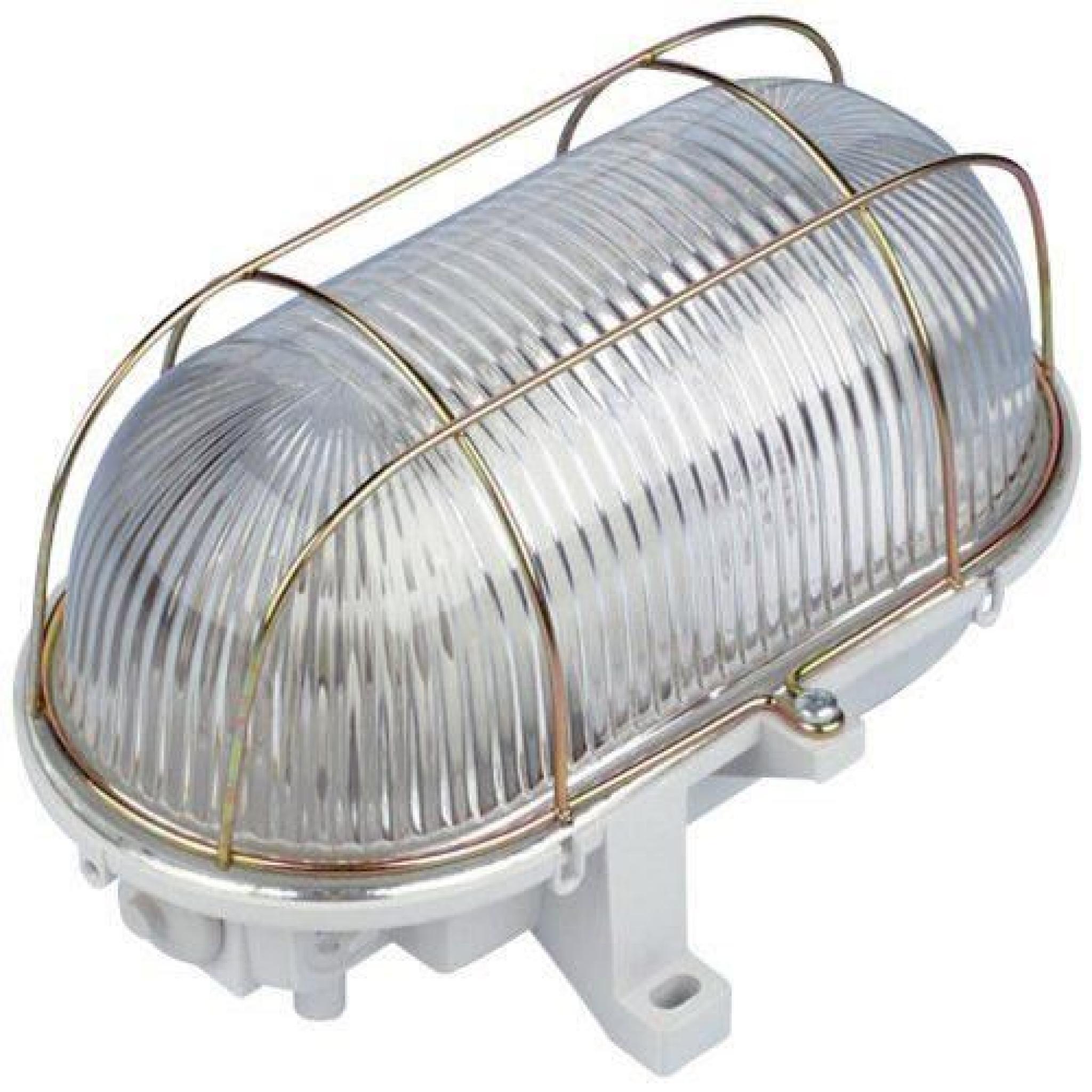 REV Ritter 0090150410 ISO Lampe ovale Ã  économie d'énergie Vert 70 W…