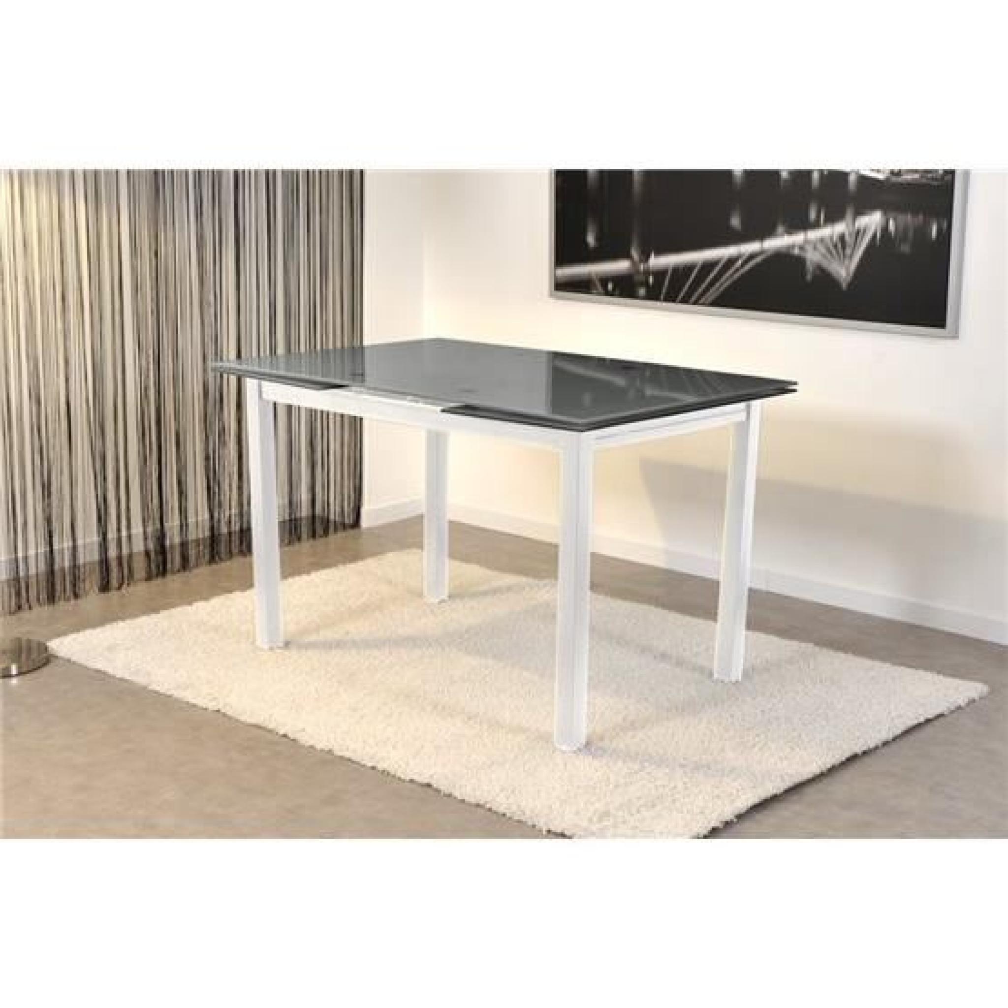 STUM Table Extensible 2 allonges. Plateau verre sablé Gris. Blanc et Verre Sablé   