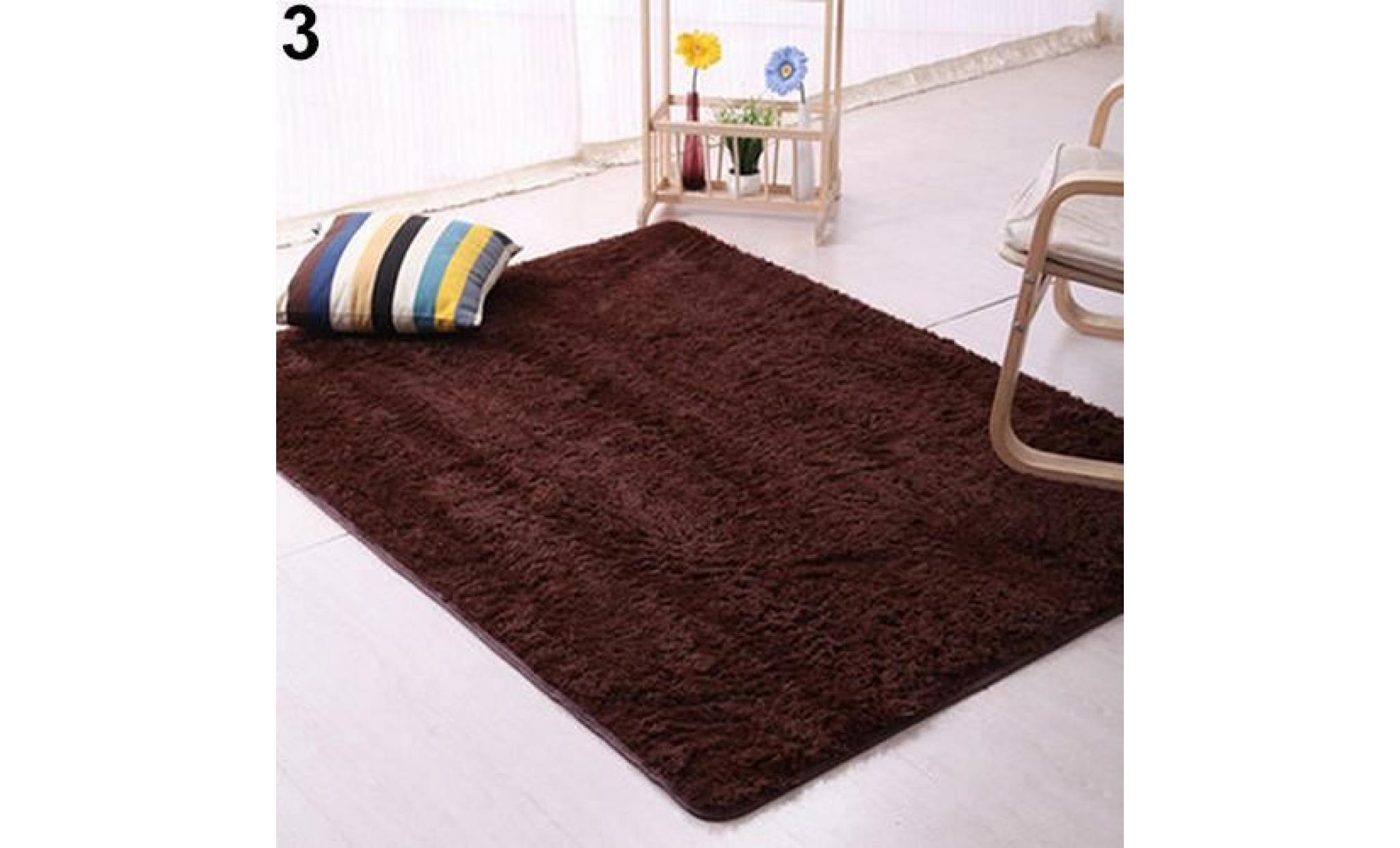tapis de sol de porte de tapis de porte résistant au glissement de tapis de chambre de tapis de peluche shaggy doux 60cm par 160cm