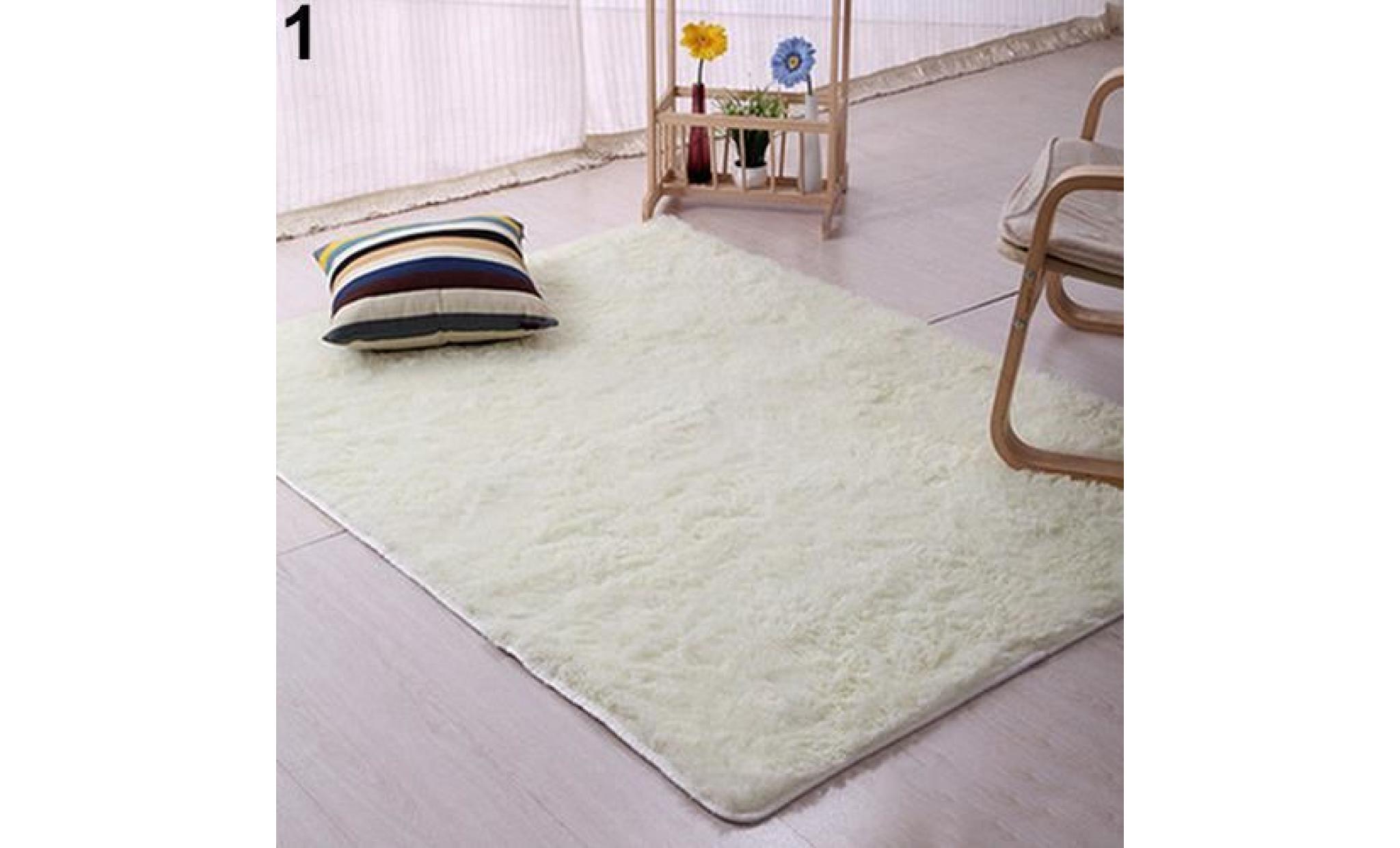 tapis de sol de porte résistant au glissement de tapis de tapis de chambre de tapis de peluche shaggy doux 60cm par 120cm