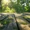 Algues terrasse bois : nettoyage vert-de-gris naturel