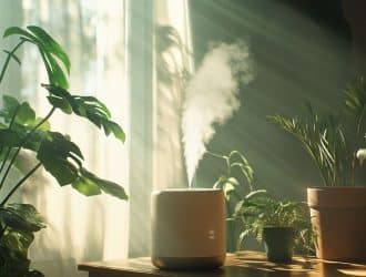 Meilleur humidificateur air : critères de choix 2024